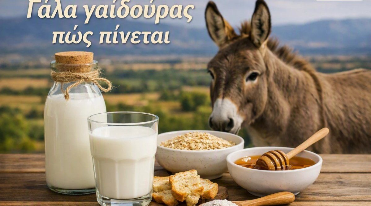 Γάλα γαϊδούρας: Πώς πίνεται σωστά και ποια είναι τα οφέλη του